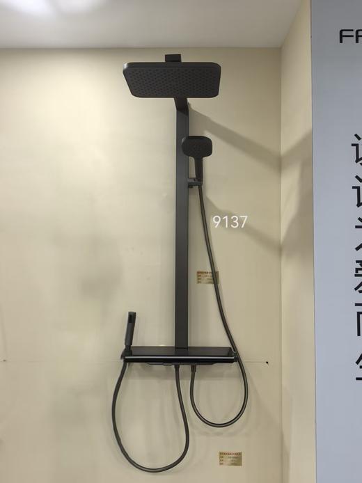 法恩莎卫浴 大花洒F4M9137 商品图2