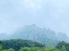 到福鼎，见春山〡4月12-16日第三期福鼎白茶游学招募 商品缩略图1