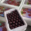 王牌！大连樱桃【净重约1.8斤】不要拿现在市场上的货来比，这款超甜超好吃！ 商品缩略图5