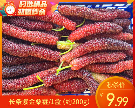 长条紫金桑葚/ 1盒（约200g） 商品图0