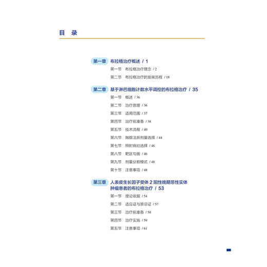 肿瘤布拉格治疗 张力元 肿瘤放射治疗核心能力建设系列教材 读者对象涵盖放疗医师以及肿瘤治疗相关专业医务等人员 人民卫生出版社 商品图3