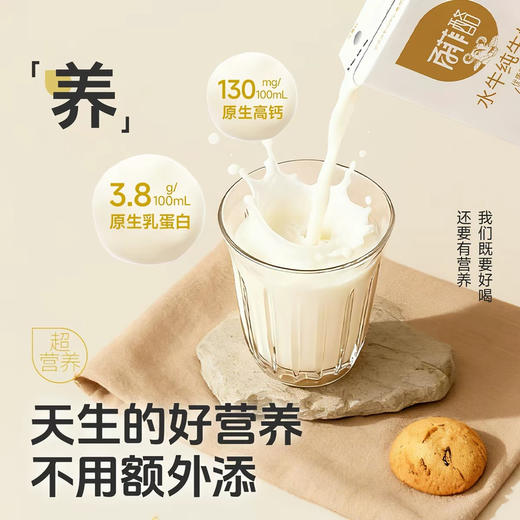 百菲酪水牛纯奶200mlx12 商品图2