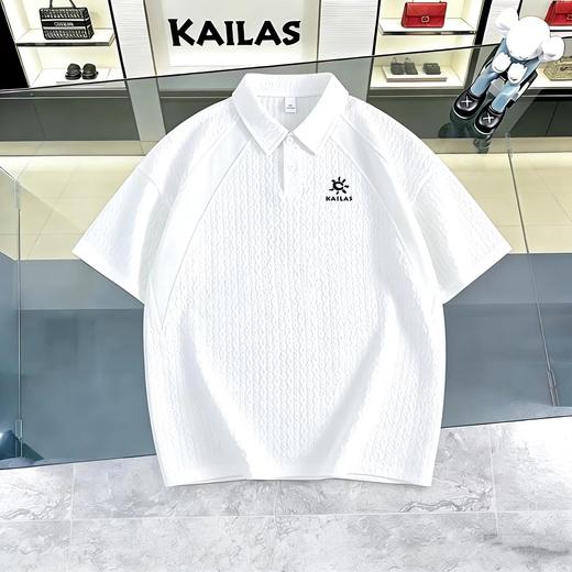 F032942吸湿速干防晒户外运动春夏季徒步通勤男短袖POLO衫 商品图2