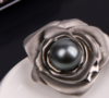 ⁶【南洋金珍珠 大溪地黑珍珠】S925银胸针，13-14MM，编号DZ22，出证书，48小时鉴赏期——SS06-CR-YMZZ【HOT】 商品缩略图3