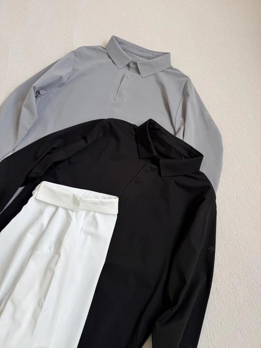 F032928春季新品DUALIS系列都市通勤男士压胶长袖POLO衫 商品图3