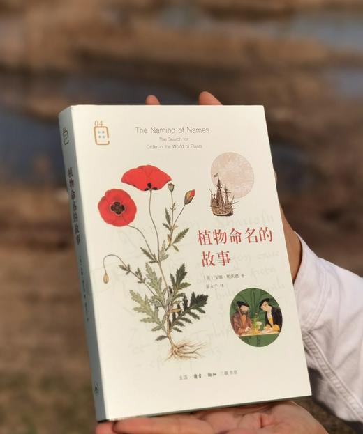 【特惠】《植物命名的故事》，16开平装，[英]安娜.帕沃德著，三联书店2020年一版一印，506面，定价129元，售价：51元。 商品图0