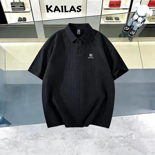 F032942吸湿速干防晒户外运动春夏季徒步通勤男短袖POLO衫 商品图3