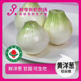 黄洋葱500g