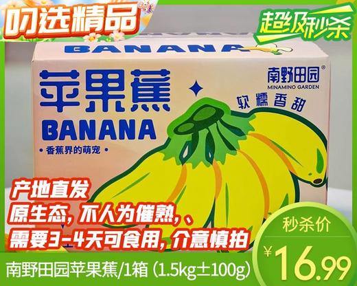 【当季叼果】南野田园苹果蕉/1箱（1.5kg±100g） 商品图0