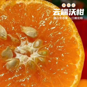 攀枝花云端沃柑