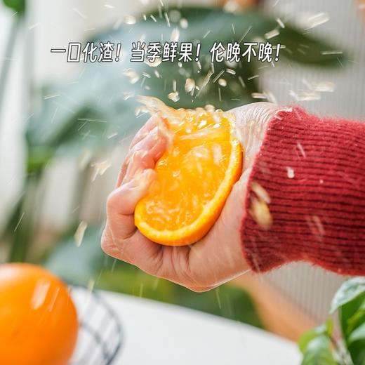 【伦晚橙】花果同枝，自带橙花香气，自然成熟，新鲜采摘，一口咬下去，汁水四溢，化渣无籽，清甜回甘！ 商品图5