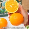 【伦晚橙】花果同枝，自带橙花香气，新鲜采摘，皮厚紧实，果肉饱满，一口咬下去，汁水四溢，化渣无籽，清甜回甘！ 商品缩略图12