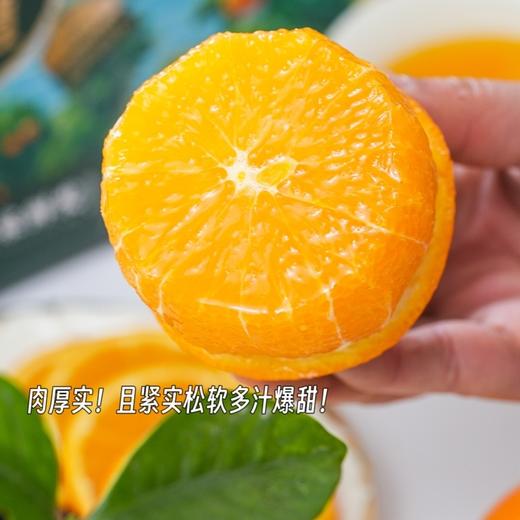 【伦晚橙】花果同枝，自带橙花香气，新鲜采摘，皮厚紧实，果肉饱满，一口咬下去，汁水四溢，化渣无籽，清甜回甘！ 商品图9