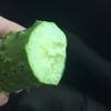 【鸿翠园招牌菜】鸿翠园 有机地黄瓜 商品缩略图7