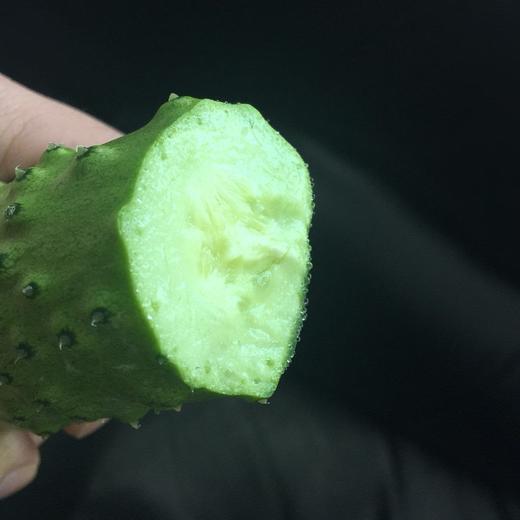 【鸿翠园招牌菜】鸿翠园 有机地黄瓜 商品图7