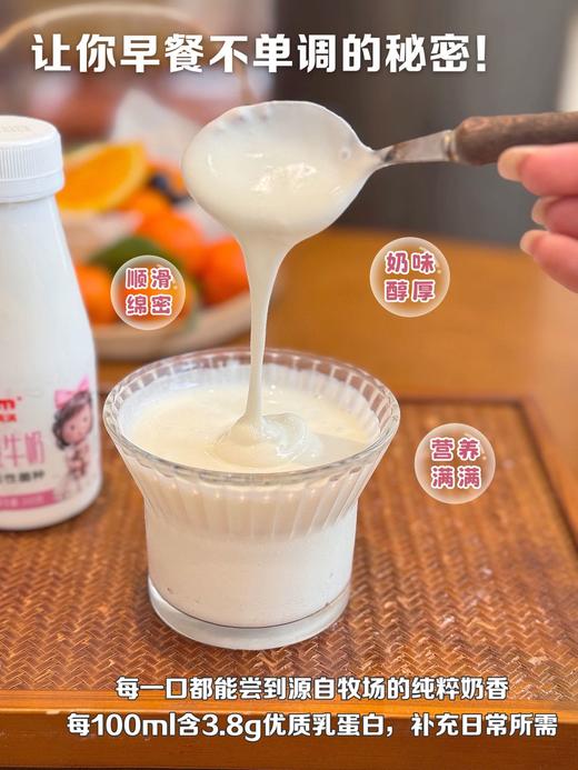 【预售5天内发货】水牛满满·低温水牛酸牛奶，生水牛乳搭配生牛乳发酵，富含6种活性菌种，配方干净，呵护肠道健康，风味醇厚有层次，每一口都能喝出天然的鲜醇感。配方干净，呵护肠道健康 商品图7
