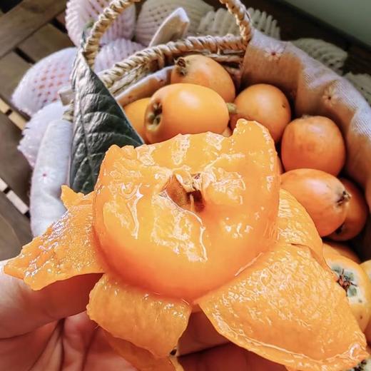 【云南鸡足山五星枇杷】 20年老树枇杷自然生长 个小肉厚皮薄多汁 馥郁醇厚 商品图3