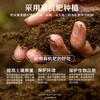 积庆里有机茶叶一级英红九号浓香英德红茶配礼袋醇逸120克*2罐(共240克) /水饮冲调 /茗茶 /红茶 商品缩略图3