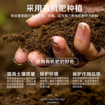 积庆里有机茶叶一级英红九号浓香英德红茶配礼袋醇逸120克*2罐(共240克) /水饮冲调 /茗茶 /红茶 商品图3