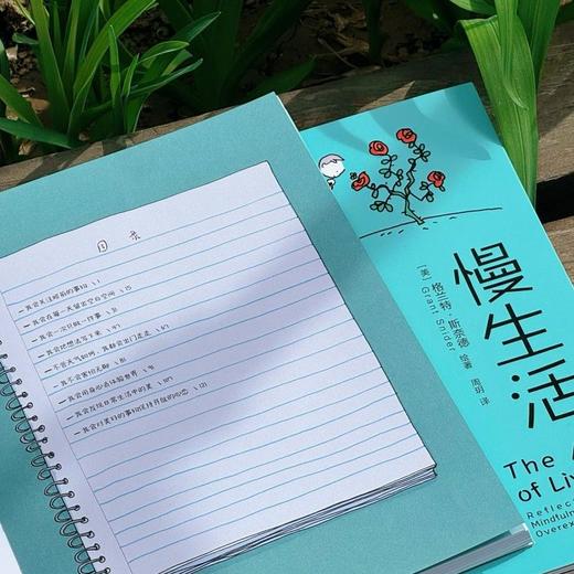 慢生活：用正念安顿内心，活出生命的意义 商品图1