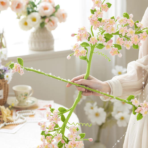 苏苏姐家花间弓藏自制手工diy钩针编织4股棉毛线团材料包 商品图2