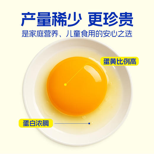 蛋鲜森 初生蛋30枚 900g 商品图0
