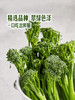 MM 山姆 甜杆西兰花 600g 商品缩略图4