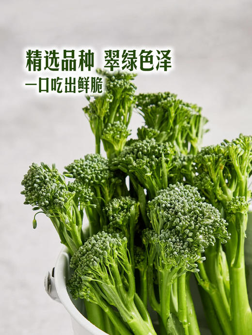 MM 山姆 甜杆西兰花 600g 商品图4