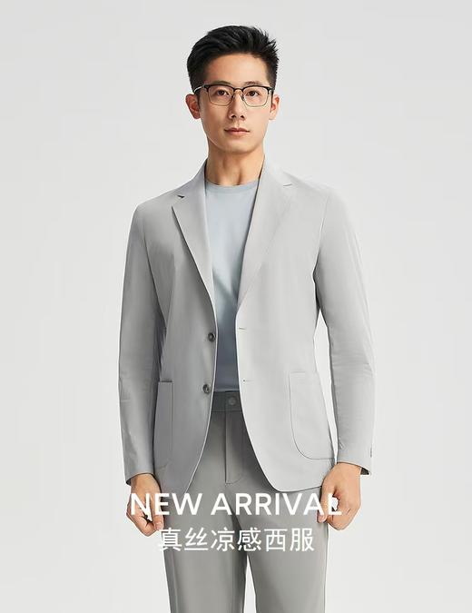 【富临店】雅戈尔春装西便服 商品图0