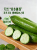 MM 山姆 有机水果青瓜 1kg 商品缩略图5
