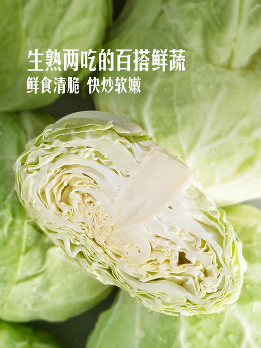 MM 山姆 有机水果甘蓝（大颗）750g 商品图4