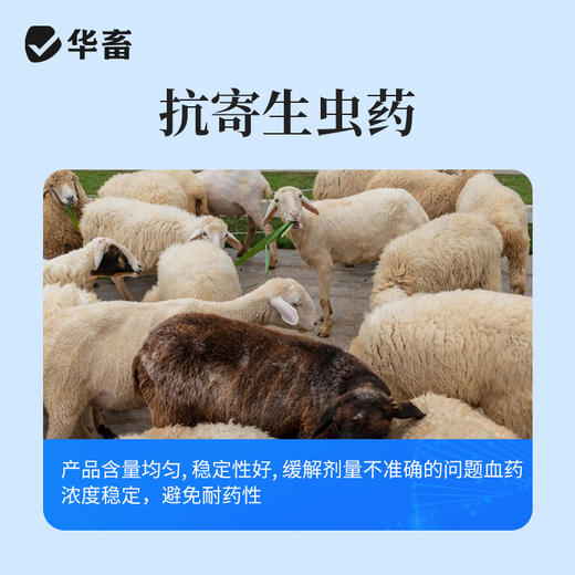 华畜水溶型阿苯达唑伊维菌素 可拌料可兑水 猪牛羊鸡鸭鹅通用 商品图5