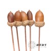 永生花 | 橡果 商品缩略图3