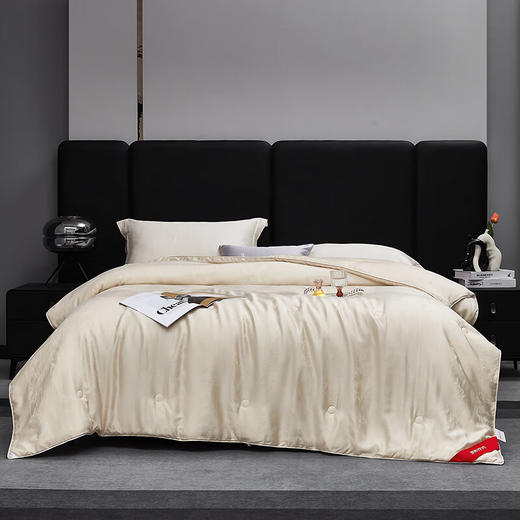 梦洁 60天丝提花纤维蚕丝复合四季被银海生花 商品图0