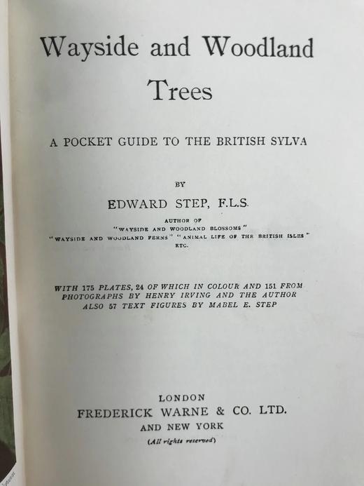 约1940年 路边与林地树木图鉴 200余幅插图（24幅彩色） 精装36开 商品图3