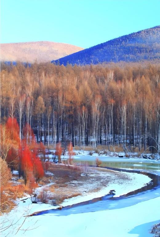 别瞅了！就是400天溜达猪，无科技无狠活儿的地道哈尔滨黑猪肉红肠 商品图9