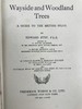 1948年 路边与林地树木图鉴 200余幅插图（24幅彩色） 精装36开 商品缩略图3