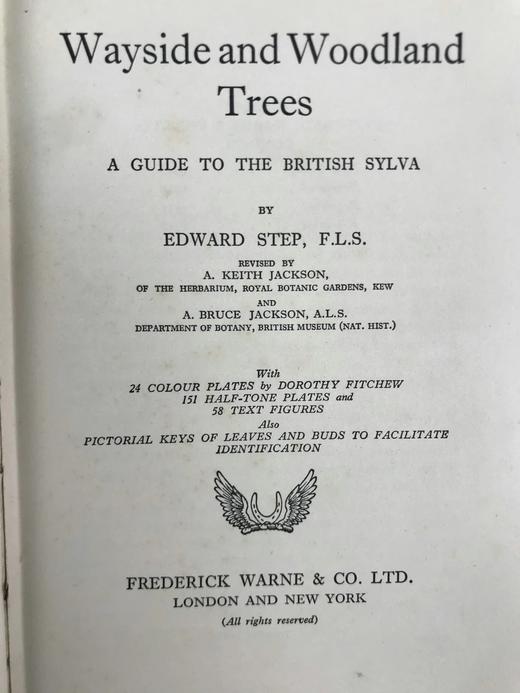 1948年 路边与林地树木图鉴 200余幅插图（24幅彩色） 精装36开 商品图3
