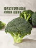 MM 山姆 有机西兰花 600g 商品缩略图5