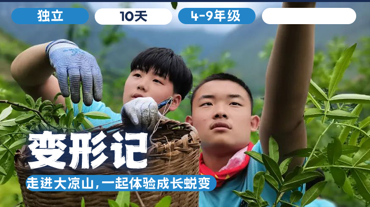 2026夏令营 |「变形记」