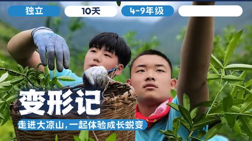 2026夏令营 |「变形记」 商品图0