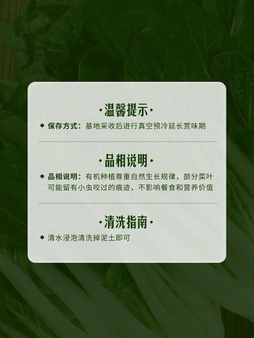 MM 山姆 有机小白菜 600g 商品图6