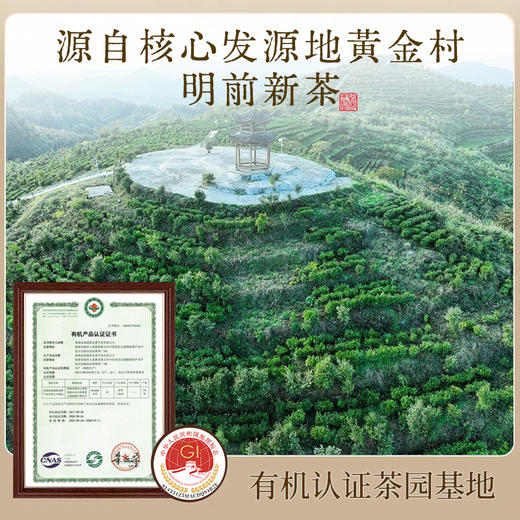 茶婆峰·保靖黄金茶 有机绿茶 地标认证 明前新茶 口感醇爽 沁人心脾 商品图1