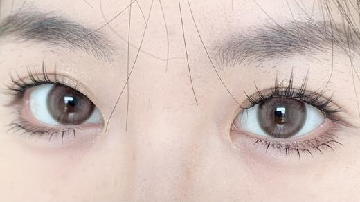 Kaylens半年抛美瞳 莓果酸奶 14.5mm 商品图0