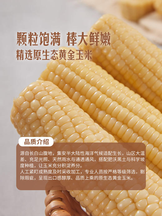 聚便利 X 山姆 长白山糖心糯玉米 1穗 商品图6