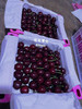宏丰精选  美早樱桃 口感好 颜色黑红， 商品缩略图10