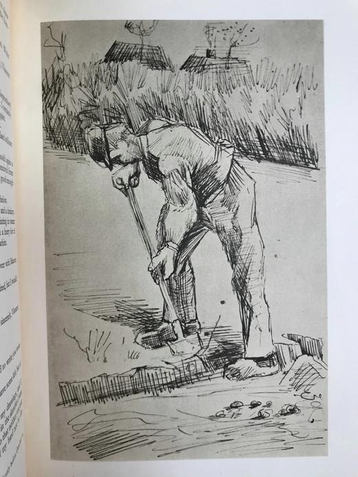 梵高书信全集（全3卷） 附书信中所有素描贴图 精装16开带书匣 商品图8