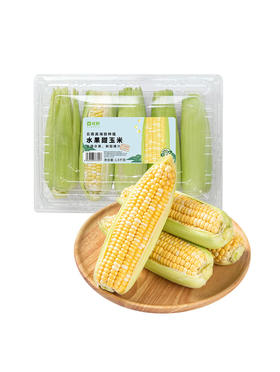 MM 山姆 水果甜玉米 1.5kg