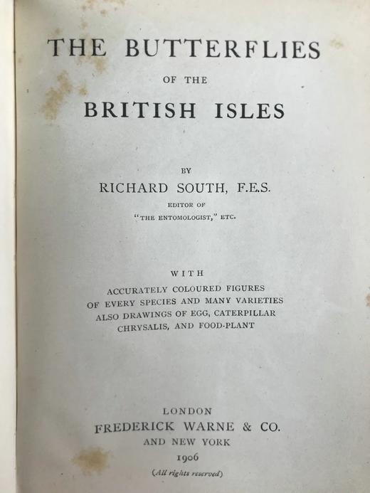 1906年 不列颠群岛蝴蝶图鉴 450幅彩色插图 精装64开 商品图3