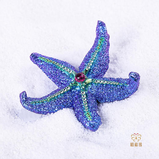 母亲节众筹《柔软的力量》钛金海星胸针 商品图2